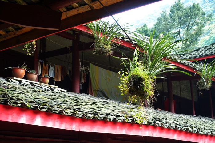 雷音寺