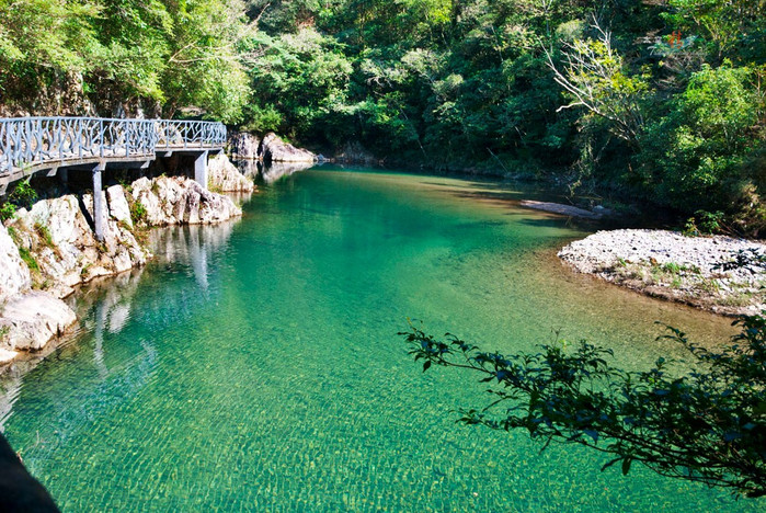 楠溪江龍灣潭森林公園,一進景區這一灣碧水就靚瞎眼了.