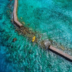 阿玛雅岛