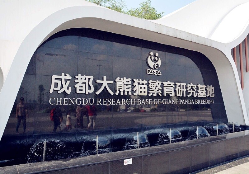 成都熊猫基地旅游攻略