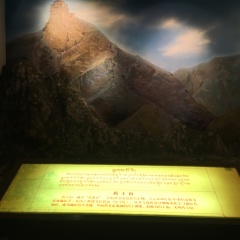 中国藏医药文化博物馆