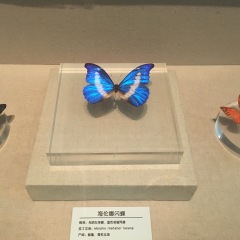 青藏高原自然博物馆