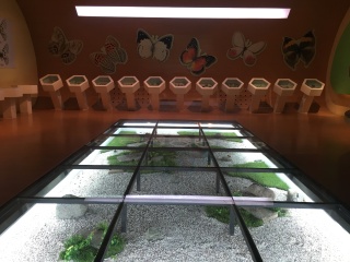 青藏高原自然博物馆