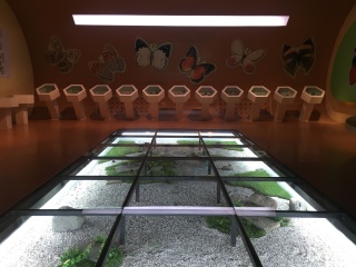 青藏高原自然博物馆