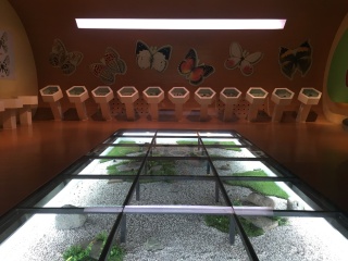 青藏高原自然博物馆