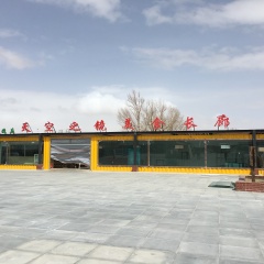 茶卡盐湖