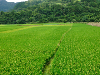 绍兴新昌穿岩十九峰