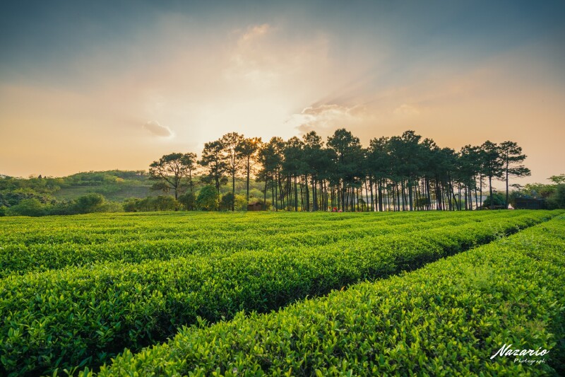 宜兴竹海风景区游记_途牛