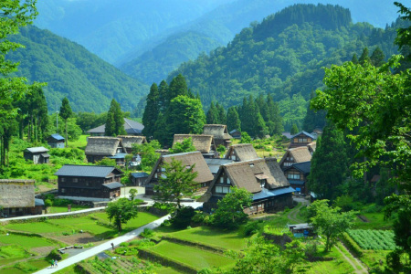 [春节]<日本名古屋+高山+白川乡半日游>高山出发，纯玩无购物，专职中文导游，童话古镇白川乡，日本绿牌巴士
