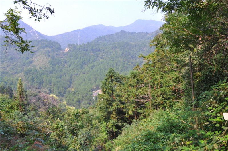 風姿卓美木蘭雲霧山