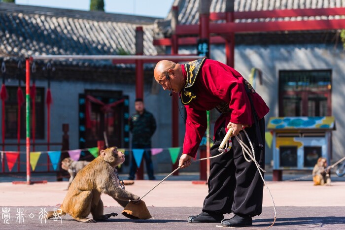 在杂技之乡,梦江湖风云,识江湖儿女