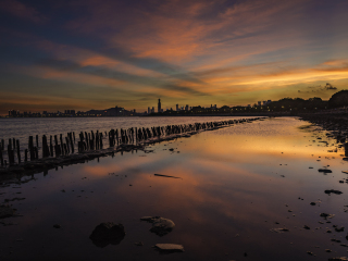 深圳红树林自然保护区