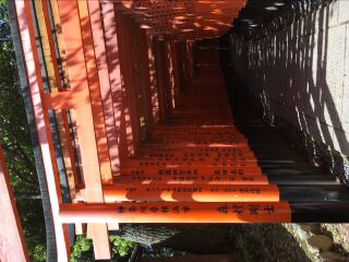 日本京都伏见稻荷大社