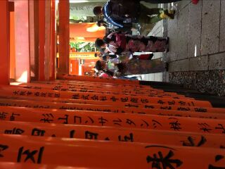 日本京都伏见稻荷大社