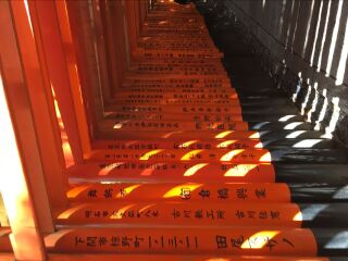 日本京都伏见稻荷大社