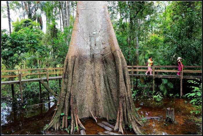南美4国游---在遥远的地方,遇见神奇的世界(巴西篇)