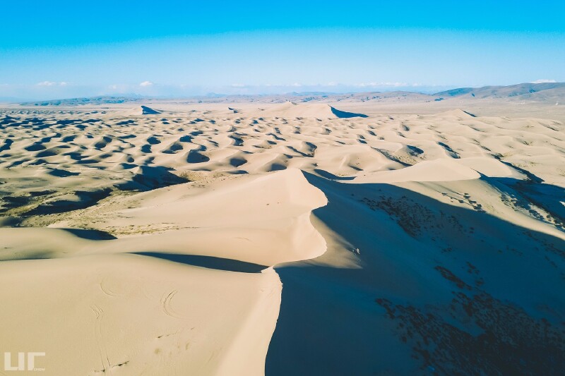 沙丘因青海湖水位逐年下降和湖沙垄突出水面接受风沙堆积而成.