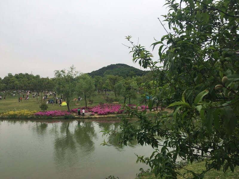 凤凰湖,在凤凰山下婉约妩媚