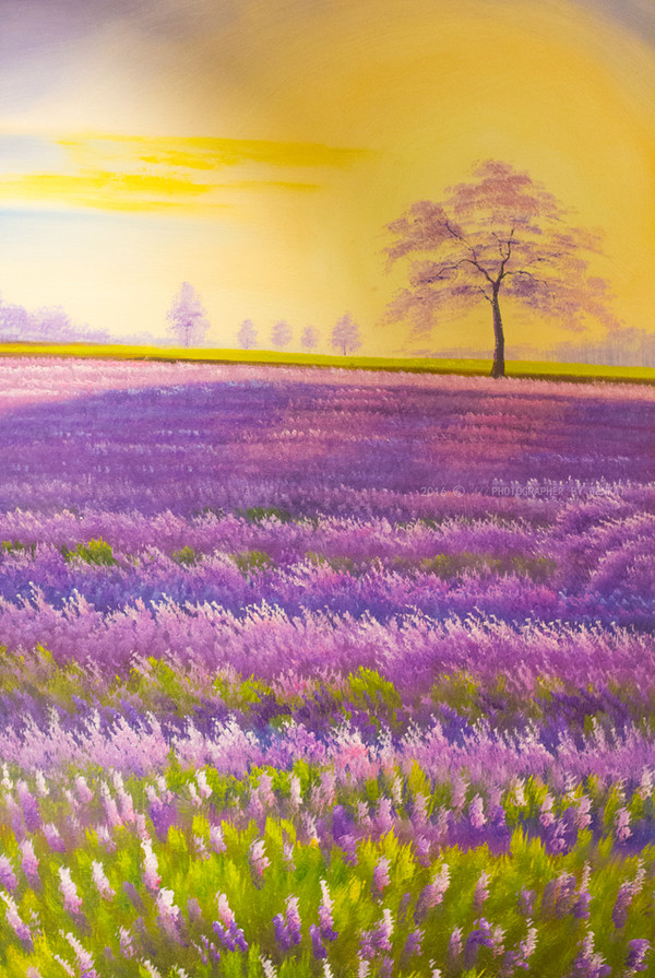 在酒店里面的地毯还有墙壁上的油画,和之前说过的电视机画面,电视机上