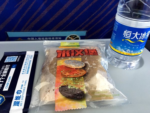 飞机餐就是一个简单的米汉堡,真不咋滴.