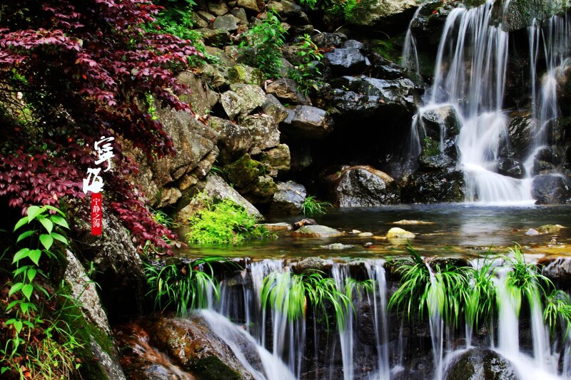 溪畔丛丛簇簇的水草,野花,随水而摇,渲染出一幅光影和谐的山水图景.