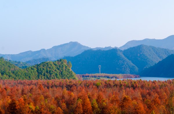多彩宁国,这里不止有一片红树林