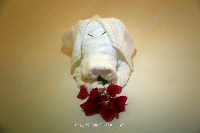 酒店的工作人员真是心灵手巧,用毛巾专门叠了小白兔和小猪,给人一种