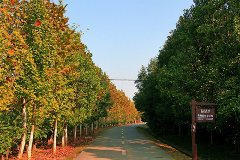 很多時候我們都會為路上的風景而感動,也許是一條彎曲的公路,也許是一