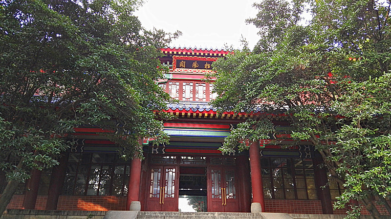 丹桂树价格查询官网