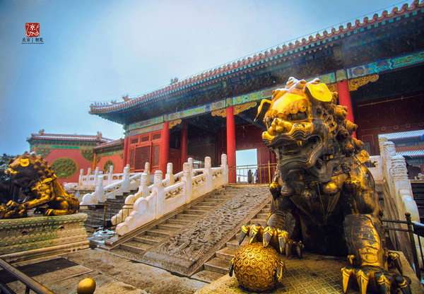 故宫(the palace museum)