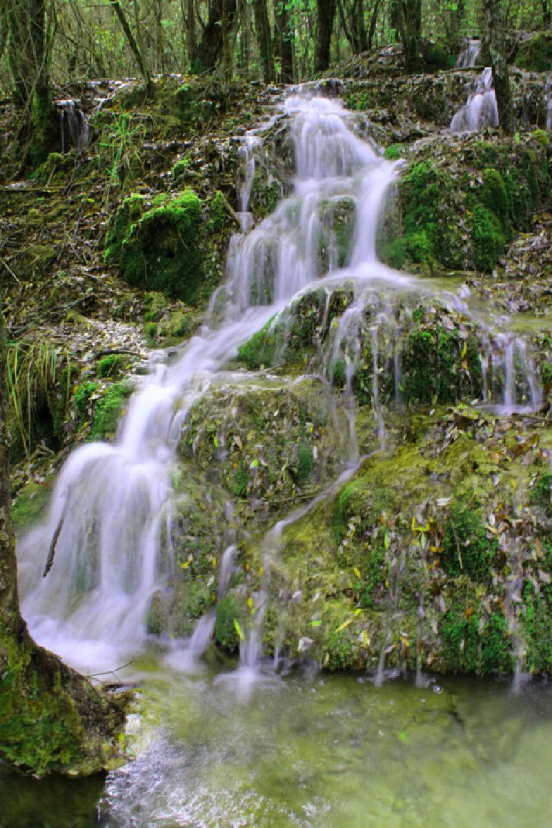 深秋九寨秋意浓五彩斑斓山水树