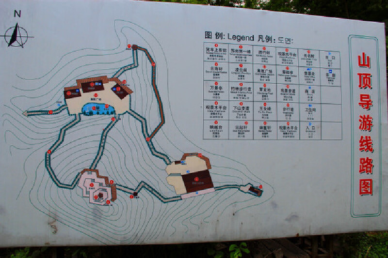 粑粑去哪儿了,撒欢宜兴竹海
