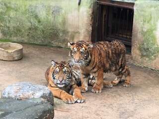 云南野生动物园