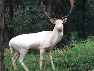 云南野生动物园