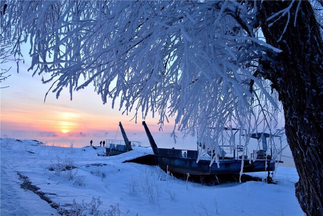 到雾凇岛感受纯净之美