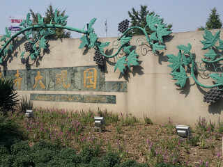 世界花卉大观园