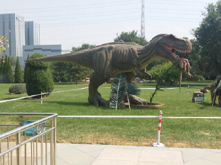 世界花卉大观园