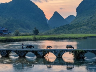 靖西鹅泉风景区