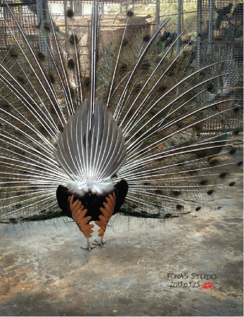 一次旅行一种心情