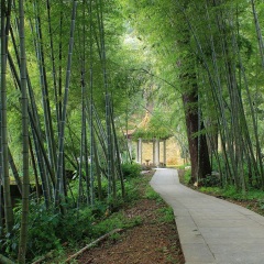 云门寺