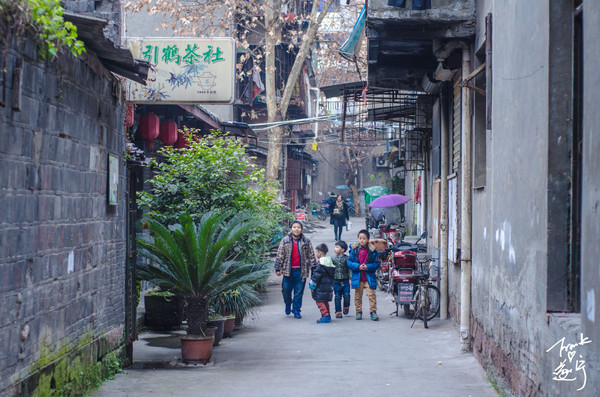 frank弗兰科61陈【故里】遂宁我的日常【多图】_广德寺游记_途牛