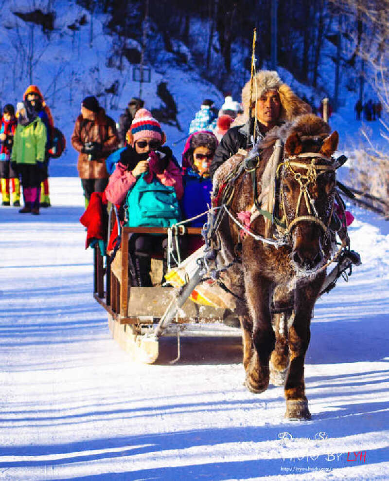 那些在路上飞扬跋扈的马车,似乎有了马