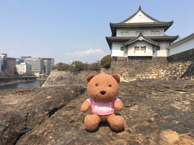 3月关西悠然の旅 (大阪京都奈良8日自由行)_大