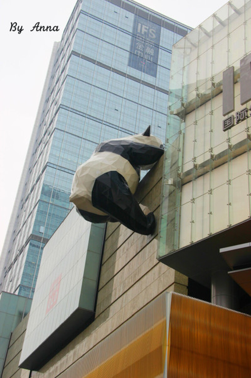 【志愿游】成都 重庆|那些天我们一起扫过的熊猫粑粑