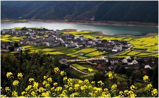 春去春又来,淳安醉人怀【多图】_神龙岛游记_途牛