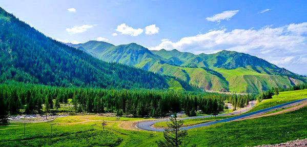 冰沟林海景区