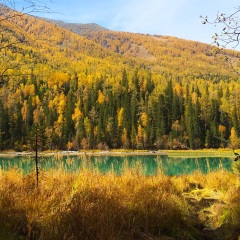 卧龙湾3 景点模块