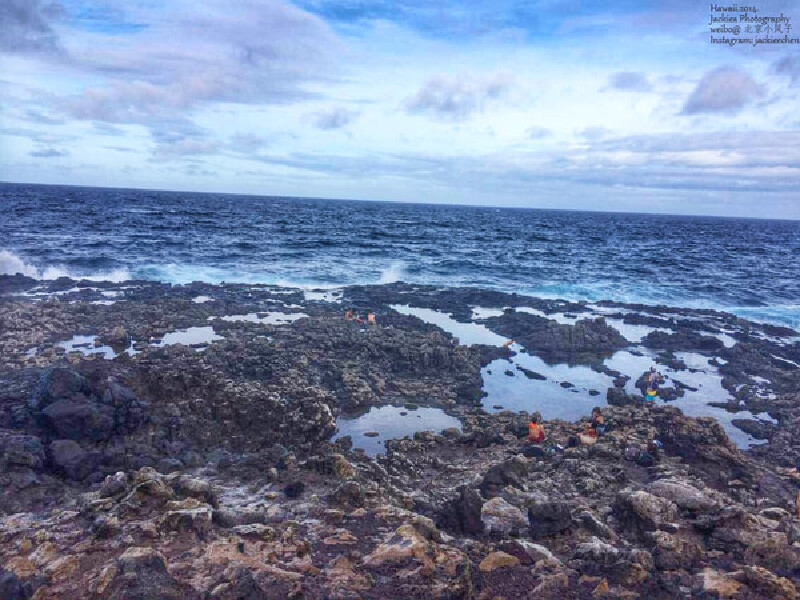 那一块一块的就是天然游泳池tidepool啦