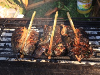 水傣美食农家乐