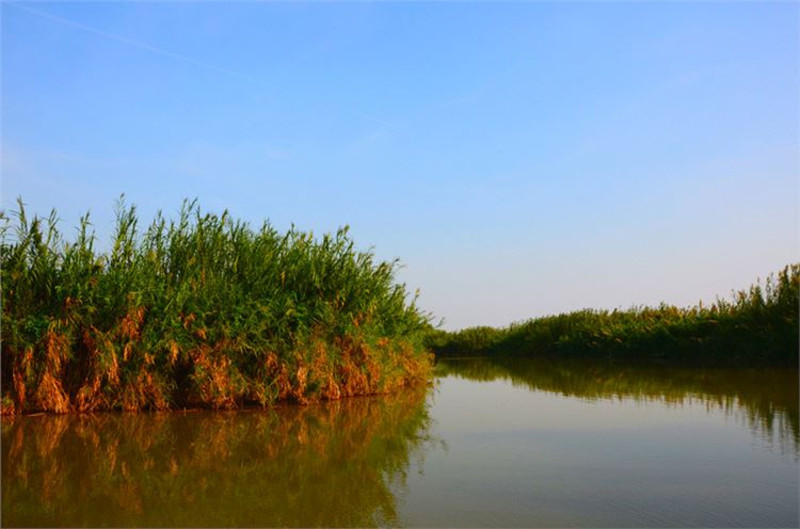 大城小景,邂逅浪漫百花_南沙溼地公園遊記_途牛